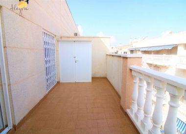 Apartments in Torrevieja (Costa Blanca), buy cheap - 69 900 [72635] 9