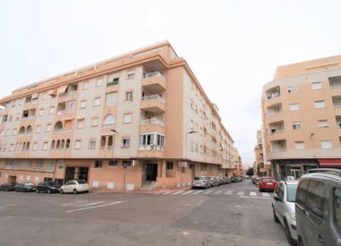 Apartments in Torrevieja (Costa Blanca), buy cheap - 69 900 [72628] 1