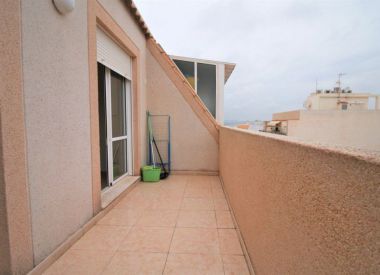 Apartments in Torrevieja (Costa Blanca), buy cheap - 69 900 [72628] 5