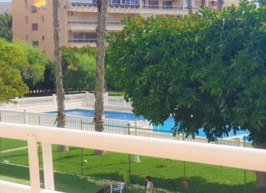 Apartments in Torrevieja (Costa Blanca), buy cheap - 107 900 [72620] 7