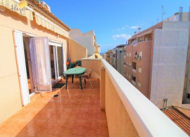 Apartments in Torrevieja (Costa Blanca), buy cheap - 95 000 [72616] 1