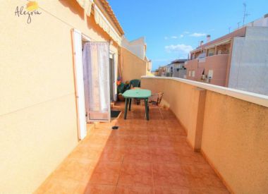 Apartments in Torrevieja (Costa Blanca), buy cheap - 95 000 [72616] 6