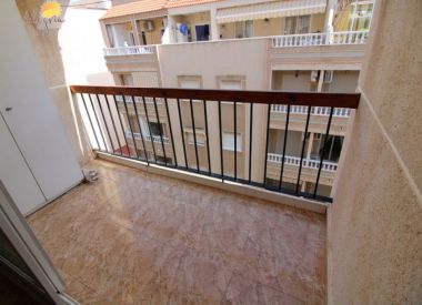 Apartments in Torrevieja (Costa Blanca), buy cheap - 68 900 [72615] 10