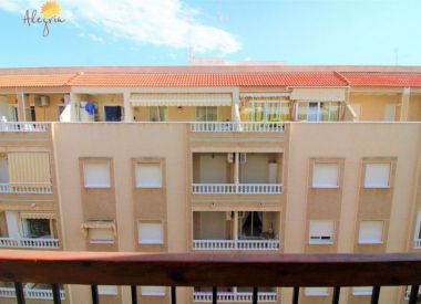 Apartments in Torrevieja (Costa Blanca), buy cheap - 68 900 [72615] 3