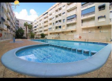 Apartments in Torrevieja (Costa Blanca), buy cheap - 57 900 [72612] 2