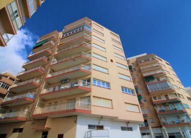 Apartments in Torrevieja (Costa Blanca), buy cheap - 137 900 [72599] 5