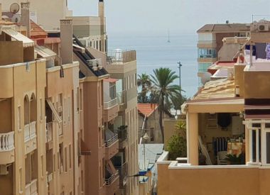 Apartments in Torrevieja (Costa Blanca), buy cheap - 62 900 [72593] 1