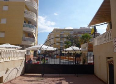 Apartments in Torrevieja (Costa Blanca), buy cheap - 69 900 [72586] 2