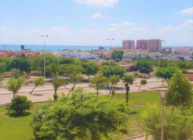 Apartments in Torrevieja (Costa Blanca), buy cheap - 146 900 [72583] 3