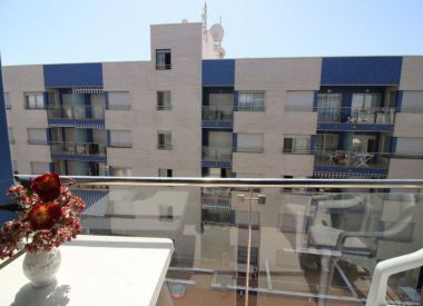 Apartments in Torrevieja (Costa Blanca), buy cheap - 96 900 [72553] 8