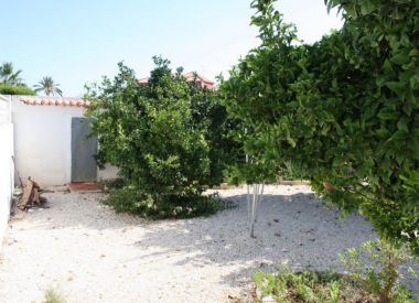 Villa in Torrevieja (Costa Blanca), buy cheap - 295 000 [72539] 9