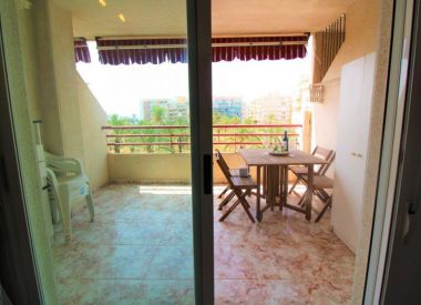 Apartments in Torrevieja (Costa Blanca), buy cheap - 92 000 [72532] 1