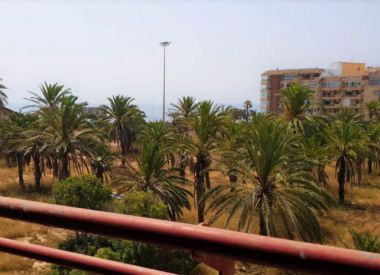 Apartments in Torrevieja (Costa Blanca), buy cheap - 92 000 [72532] 10