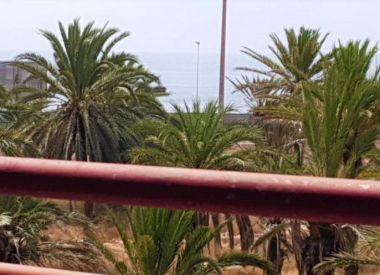 Apartments in Torrevieja (Costa Blanca), buy cheap - 92 000 [72532] 2
