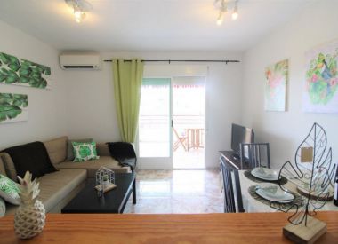 Apartments in Torrevieja (Costa Blanca), buy cheap - 92 000 [72532] 4