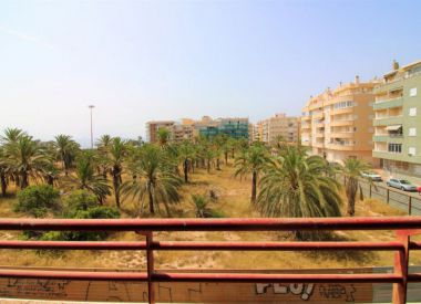 Apartments in Torrevieja (Costa Blanca), buy cheap - 92 000 [72532] 8