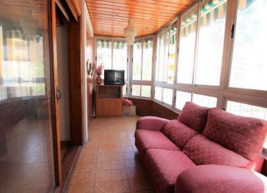 Apartments in Torrevieja (Costa Blanca), buy cheap - 92 000 [72524] 9