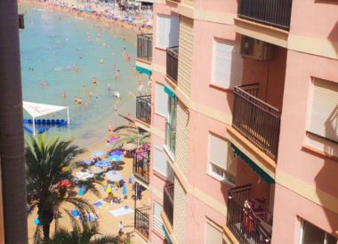 Apartments in Torrevieja (Costa Blanca), buy cheap - 92 900 [72519] 9