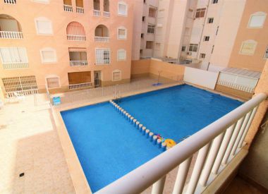 Apartments in Torrevieja (Costa Blanca), buy cheap - 64 900 [72501] 1
