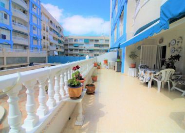 Apartments in Torrevieja (Costa Blanca), buy cheap - 179 900 [72495] 1