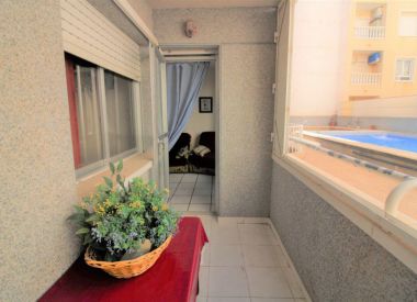 Apartments in Torrevieja (Costa Blanca), buy cheap - 64 900 [72489] 6