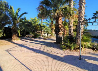 Villa in Torrevieja (Costa Blanca), buy cheap - 294 900 [72466] 10