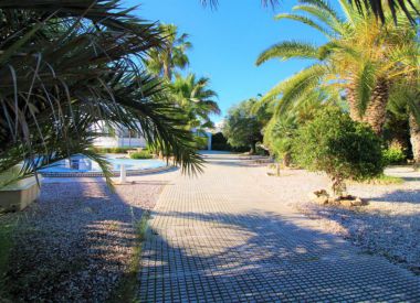 Villa in Torrevieja (Costa Blanca), buy cheap - 294 900 [72466] 3