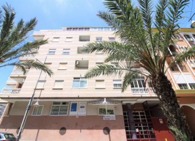 Apartments in Torrevieja (Costa Blanca), buy cheap - 83 900 [72465] 1