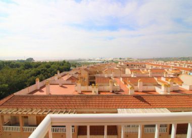 Apartments in Torrevieja (Costa Blanca), buy cheap - 71 900 [72455] 6