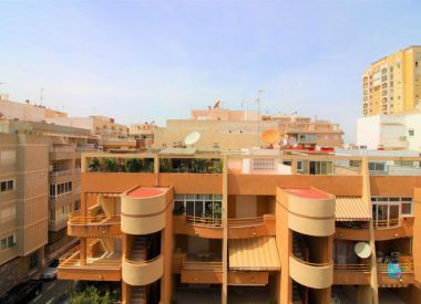 Apartments in Torrevieja (Costa Blanca), buy cheap - 64 900 [72430] 8