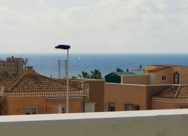 House in Torrevieja (Costa Blanca), buy cheap - 198 900 [72429] 4