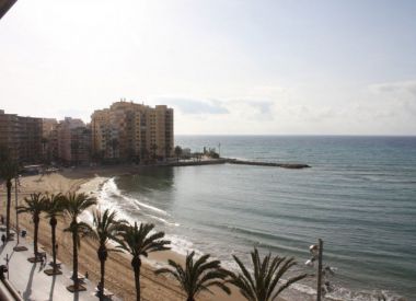 Apartments in Torrevieja (Costa Blanca), buy cheap - 312 000 [72428] 8