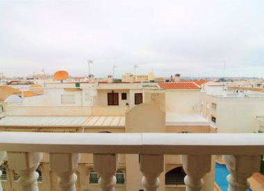 Apartments in Torrevieja (Costa Blanca), buy cheap - 66 000 [72424] 8