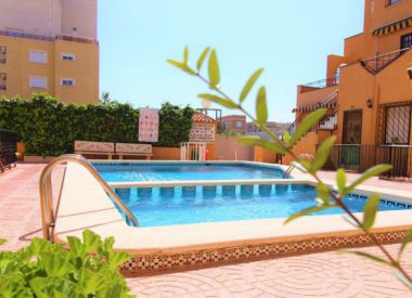 Apartments in Torrevieja (Costa Blanca), buy cheap - 57 900 [72415] 1