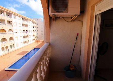 Apartments in Torrevieja (Costa Blanca), buy cheap - 72 900 [72409] 9