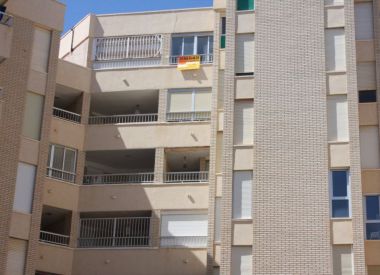 Apartments in Torrevieja (Costa Blanca), buy cheap - 139 900 [72404] 2