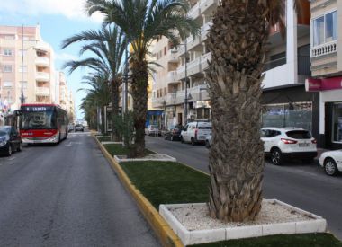 Apartments in Torrevieja (Costa Blanca), buy cheap - 88 000 [72343] 4