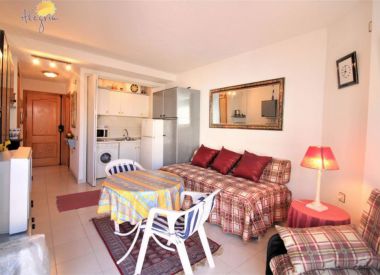 Apartments in Torrevieja ID:72920