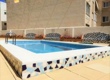 Apartments in Torrevieja (Costa Blanca), buy cheap - 48 500 [72920] 5