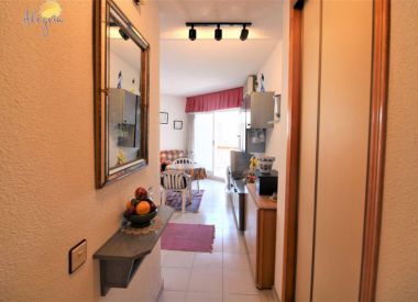 Apartments in Torrevieja (Costa Blanca), buy cheap - 48 500 [72920] 9