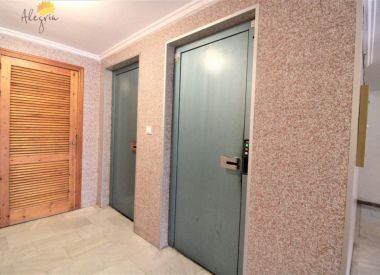 Apartments in Torrevieja (Costa Blanca), buy cheap - 41 900 [72913] 5