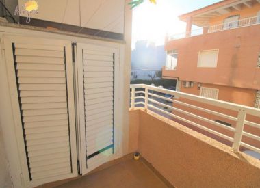 Apartments in Torrevieja (Costa Blanca), buy cheap - 62 900 [72900] 10