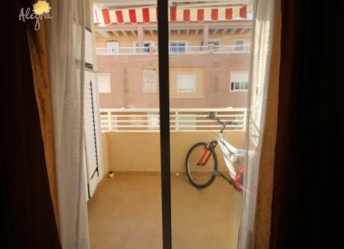 Apartments in Torrevieja (Costa Blanca), buy cheap - 62 900 [72900] 9