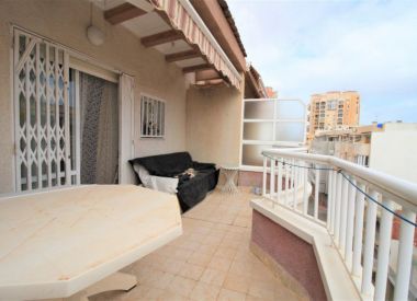 Apartments in Torrevieja ID:72895