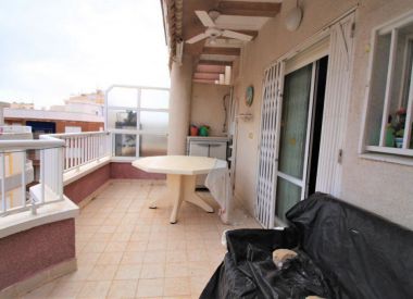 Apartments in Torrevieja (Costa Blanca), buy cheap - 93 000 [72895] 3