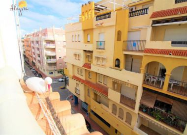 Apartments in Torrevieja (Costa Blanca), buy cheap - 134 900 [72896] 5