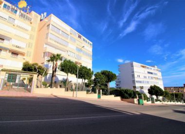 Apartments in Torrevieja (Costa Blanca), buy cheap - 60 900 [72890] 6