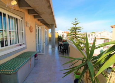 Apartments in Torrevieja ID:72886