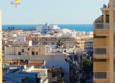 Apartments in Torrevieja (Costa Blanca), buy cheap - 72 900 [72882] 8