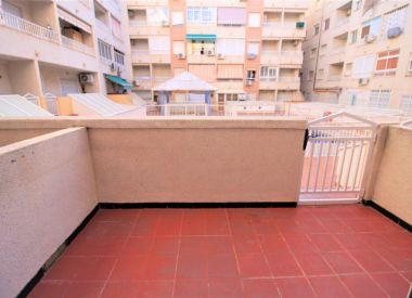 Apartments in Torrevieja ID:72880